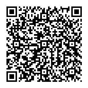 如果这笔财富真的让我们这帮人相互之间勾心斗角甚至争得你死我活的……我宁愿跟老巴一起放弃二维码生成