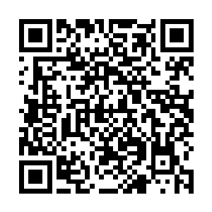 如果连你都被他们给解决的话……连我都觉得你们可笑二维码生成