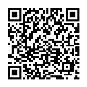 如果连续和你打了两次交道都不知道你的尸毒瘴已经进化了一次二维码生成