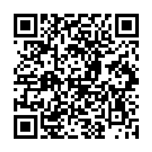 如果逆水盟真的针对这次世界特种兵排名赛有行动的话二维码生成