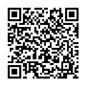 如果那个人能在一个鼠级部落确立古神教的信仰和自己的地位二维码生成