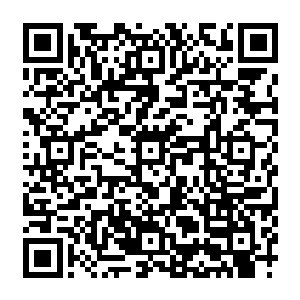 如果那些自以为鬼不来客栈是猛鬼镇最安全地方的修士们知道他们的客栈老板是一个魔修二维码生成