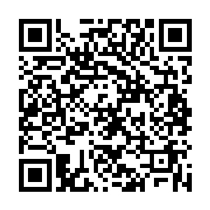 如果骨皇能够扭曲和更改他们在这梦界之中的记忆的话二维码生成