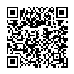 如此低的普及率显然达不到让地网系统真正发挥威力的标准二维码生成