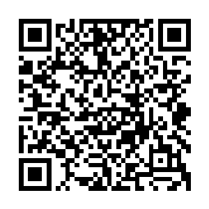 如此可怕的战力十大守护家族是绝对不会轻易的让别人掌控的二维码生成