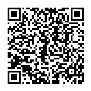 如此多的任务和恶魔也从侧面证明了现在庇护所世界的形势是多么的严峻二维码生成