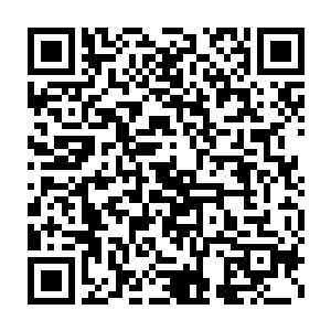 如此大的阵容用来对付一位刚突破不久的神王中期完全绰绰有余了二维码生成