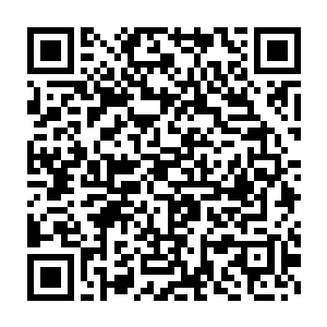 如此王卧云就没有你已经成为仙丹师这种借口取消他和你之间的约斗二维码生成
