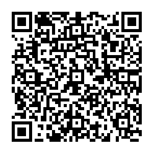 如此的剧痛甚至都令他没有时间去整理刚才一瞬间涌入脑海的大量的陌生记忆和信息残片二维码生成