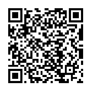 如珍似宝地将慕容玥轻放在绣着暗红苏绣织金的锦被之上二维码生成