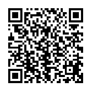 如红色水银一般致密黏稠的血液持续冲刷着万灵丹的碧绿外衣二维码生成