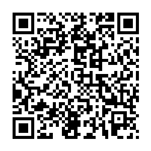 妈妈一年前……在带我来安普顿城的路上……遇到魔灾……已经死了二维码生成