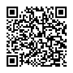 妈的自己若是信不过对方会将偌大的血狼帮交给对方管理二维码生成