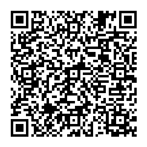 妘牧是你你不是天城城主么难道说你冒充天城城主那怎么行呀就算你如今是代掌门可也不能开这玩笑呀二维码生成