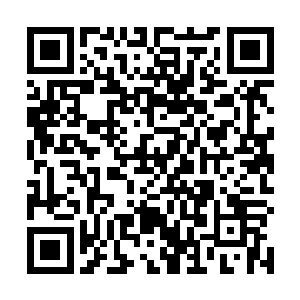 妮娜你那想赚很多很多钱的愿望……最终还是实现了呀二维码生成