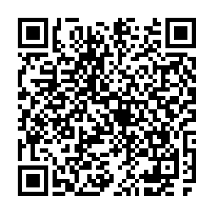 妮娜实在搞不懂麻叶的想法――难道在这一千年的轮回转生当中把脑子转坏了二维码生成