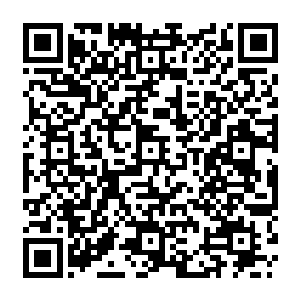 妮娜就蹲在他旁边有一下没一下的甩着尾巴试图靠他们交谈的内容来推断今天的晚餐二维码生成