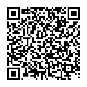 妮娜恐怕真的要在这个体型庞大但实际没啥存在感的精英小怪上栽跟头了二维码生成