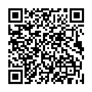 妮娜正要去搜寻的白兰却仍然闲庭信步一样的在林中漫步二维码生成