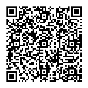 妮娜毫无自觉的又伸爪子探向了奶香味传来的方向――一盒满满的奶油曲奇不知何时被桔梗放在了旁边的座椅上二维码生成