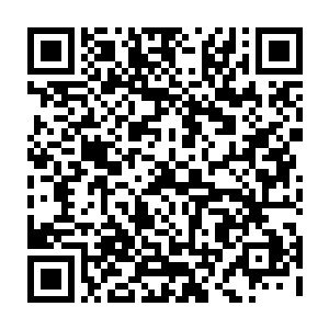 妮娜的猫生还是没有什么变化――她有点觉得自己之前的瞎紧张行为有点蠢了二维码生成