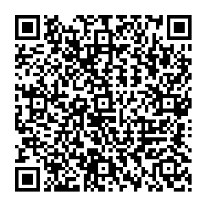 妮娜苦大仇深的盯着那个爪印――她还是第一次觉得自己的爪印看起来……微微有那么一点碍眼二维码生成