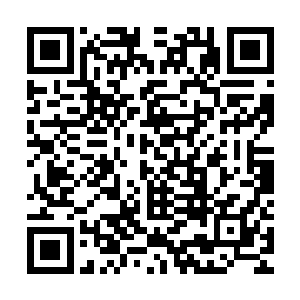 妮娜跟不知刚刚去做了什么的史昂一起踏上了前往双鱼宫的道路二维码生成