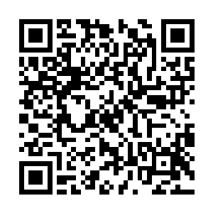 妹妹抬头的脸上的确有些娇憨和姐姐的清冷不一样二维码生成