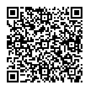 始终在枢密院忙碌的秦桧未曾有过半点动静在之前他被龙其飞抨击时未曾有过动静二维码生成