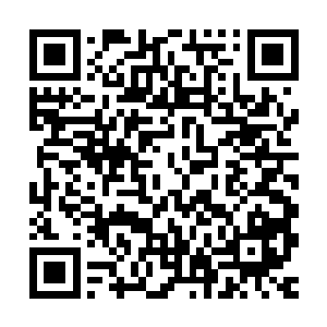 姐姐可能……再也没办法和你在一起这样玩耍了……姐姐会嫁人二维码生成