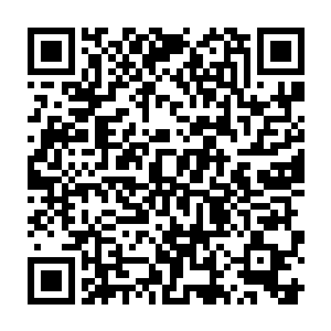 委四海歌舞厅办理文化娱乐场所经营许可证的市文化市场管理办公室二维码生成