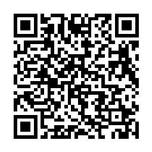 姜妃和林小璐实际上已经站在那里差不多有半分钟了二维码生成