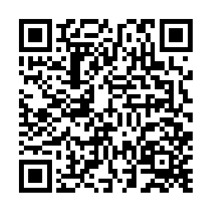 姜小娥信以为真的在龙小宝的牵引下一寸一寸的往下按着二维码生成