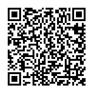 威利斯家族的族长布莱曼站在威利斯家族在阿克雷岛修建的城堡的城墙上二维码生成