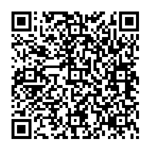 威压席卷天下 让下方的白骨嗡嗡作响 好像有一阵无形大手掌压下 让众人喘不过气來二维码生成