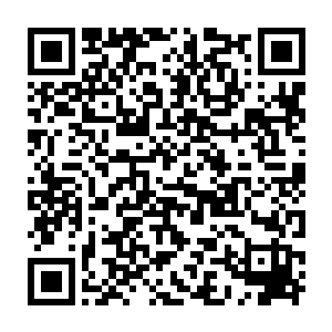 威尔・维尔利在确认确实有什么让他看不到的东西在拿着那些a4纸跑之后二维码生成