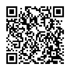 威尔伯爵急忙殷勤地要去帮忙拿金雨薇和他手中的行李箱二维码生成