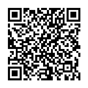 威尔和剧组的成员们一直在试图寻找出一个完美的拍摄地二维码生成