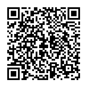 威戚仙尊便清晰的感受到一股强烈的剑气毫无半点征兆的出现在自己体内二维码生成