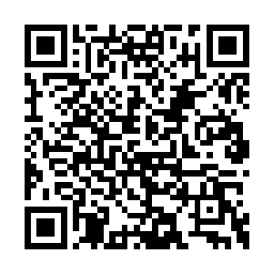 威猛时又似惊涛骇浪一样将周围的树木震倒无数二维码生成