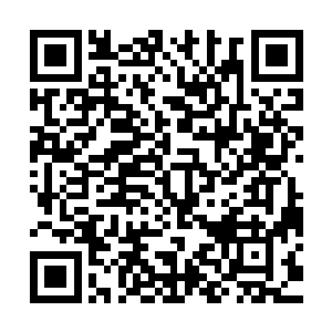 娄书记在交接工作的时候肯定和左书记说过祝南镇全方面的情况二维码生成