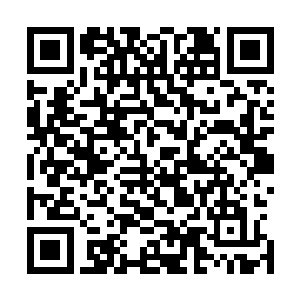 娄书记已经确定参加祝南镇仙桃村仙女山的试营业开幕式了二维码生成