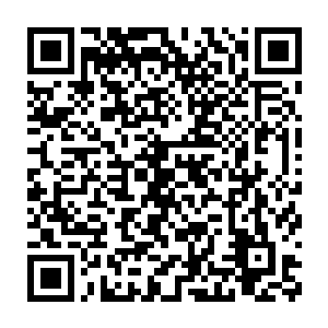 娄书记拿起雷欢喜送到自己办公桌上的苹果梨翻来覆去的看了好大一会二维码生成