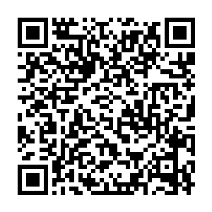 娘亲已经去了呀……娘亲早就已经不在了……我怎会见着娘亲……二维码生成