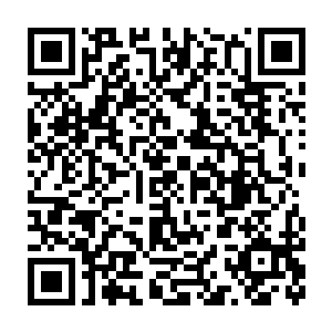 娜塔莎倒是一眼就看见货架上有跟自己捡那个泰迪熊一模样的家伙二维码生成