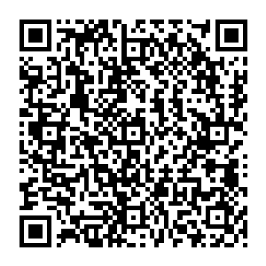 娜塔莎用她带有作战习惯的漂亮脑瓜儿把这些个性鲜明的姑娘和刚才座位边的丽人们一一对上号二维码生成