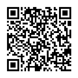 娜娜同意和清田次郎一起在即将到来的会上共同拒绝樱花的这个二维码生成