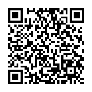 婉宁吩咐童妈妈和落雨去屋子里将她常用的软枕和笔墨拿去崔家二维码生成