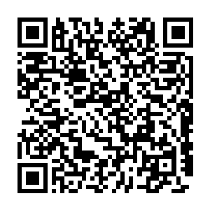 媒体记者们就会自动的向那边靠拢而不是一味的守在秦洛的小楼门口二维码生成