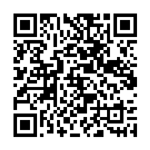 嫡系便是和亡魂族族长亡魔罗有着血缘关系的弟子二维码生成